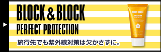 block_block21